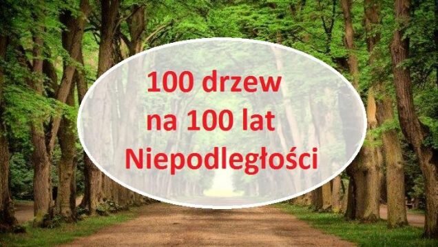 100