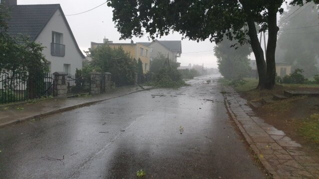 64384915_821950508204816_5207202844838461440_n