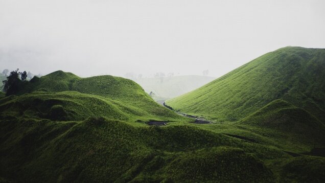 the-landscape-5009805_1920